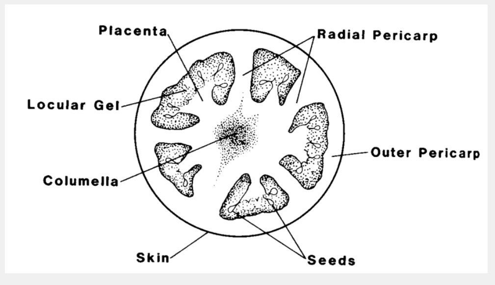 How to Pass Biology in NECO